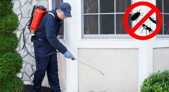 Bekilli Tahtakurusu İlaçlama böcek ilaçlama ve haşere kontrolü — ilaclama-tr.com